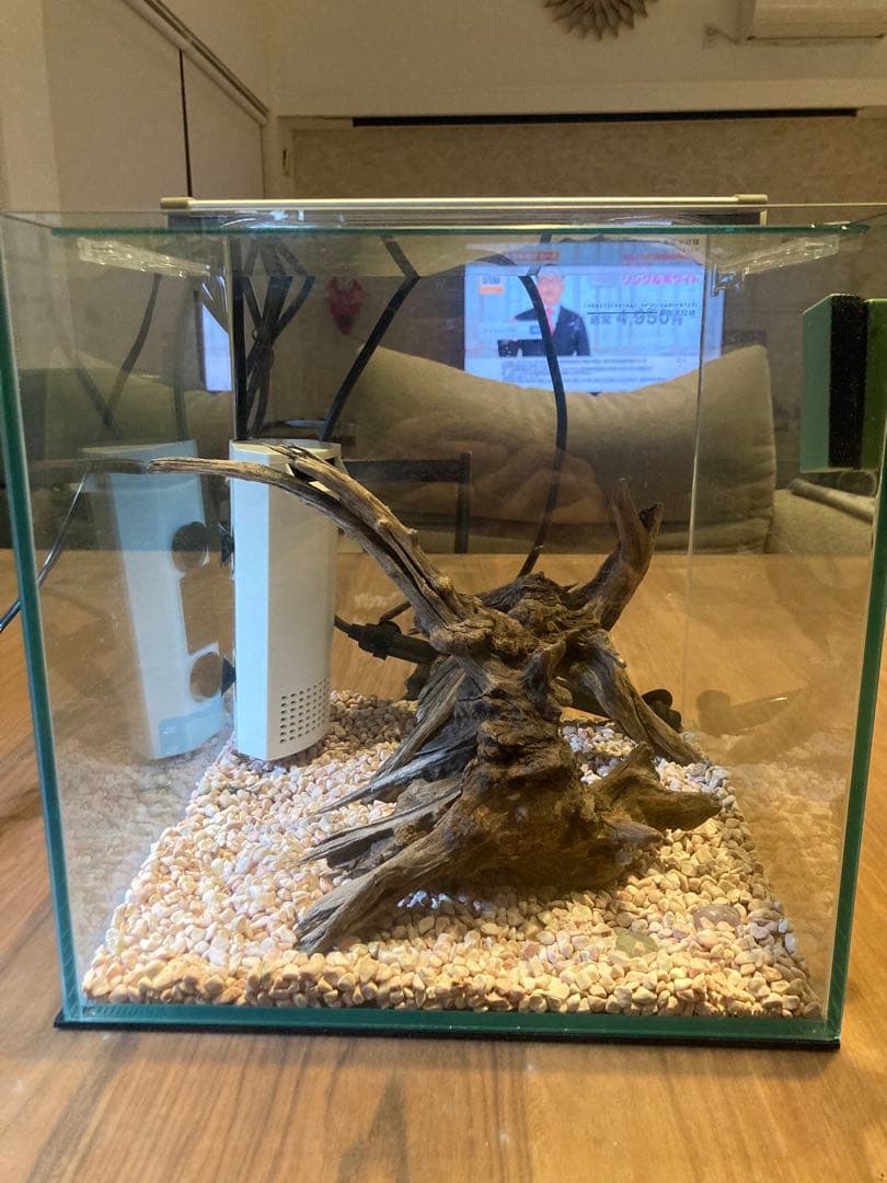 kotobuki 300×300×300 水槽セット