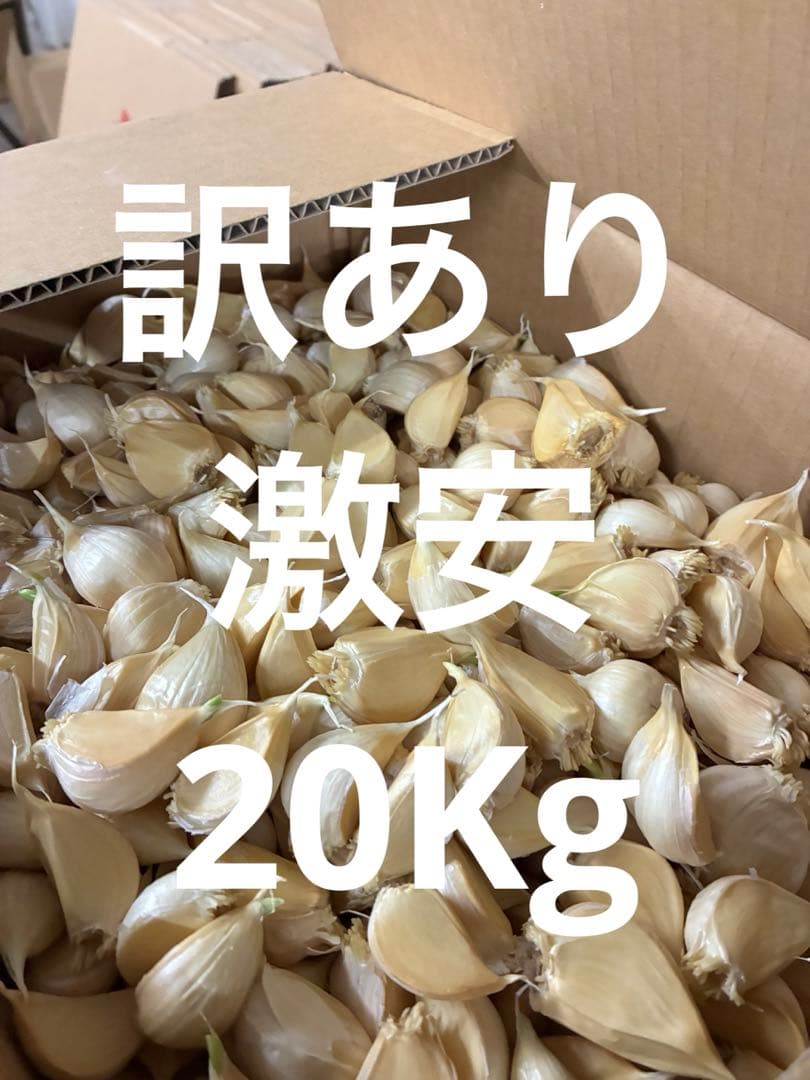 訳あり青森県バラにんにく20Kg 芽あり　残り2個