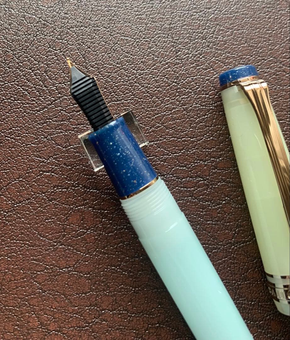 海外限定セーラー万年筆 プロギアスリム ドライフラワーシリーズ アジサイM