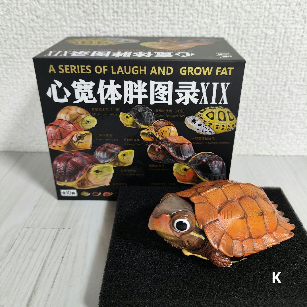 【動物の惑星】レア★スペングラーヤマガメ（シークレット）★フィギュア