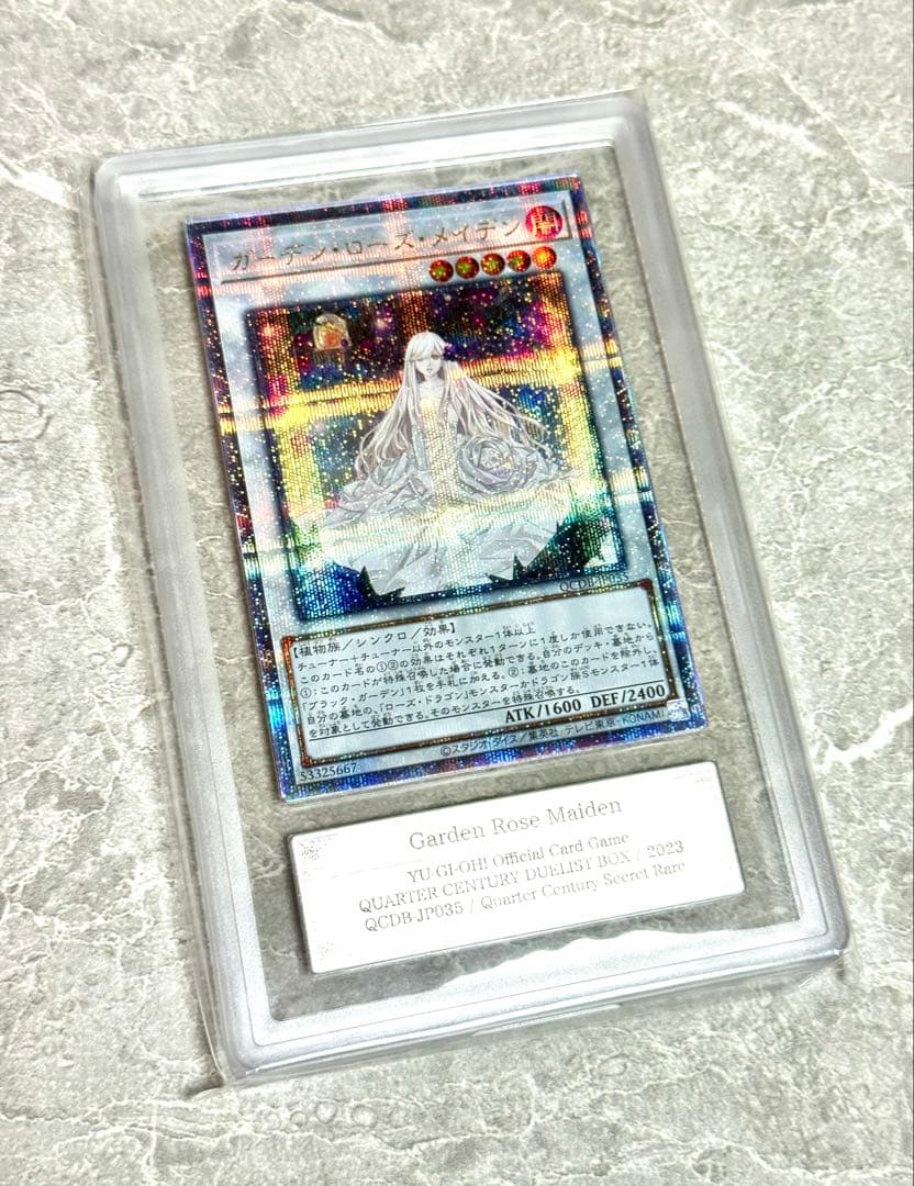 ARS10+ 世界に12枚 ガーデン・ローズ・メイデン 25th