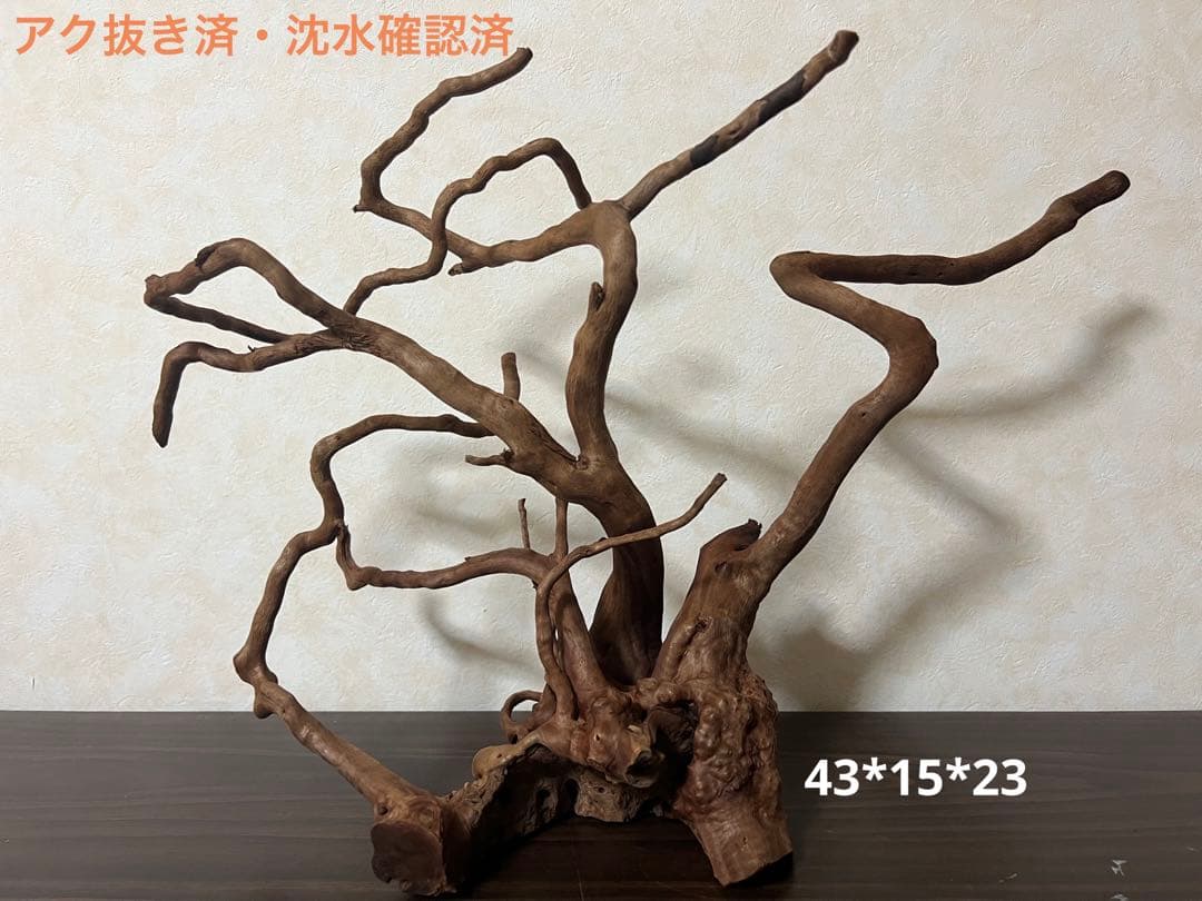 61103 ブランチウッド　流木　アクアリウム　沈水確認済