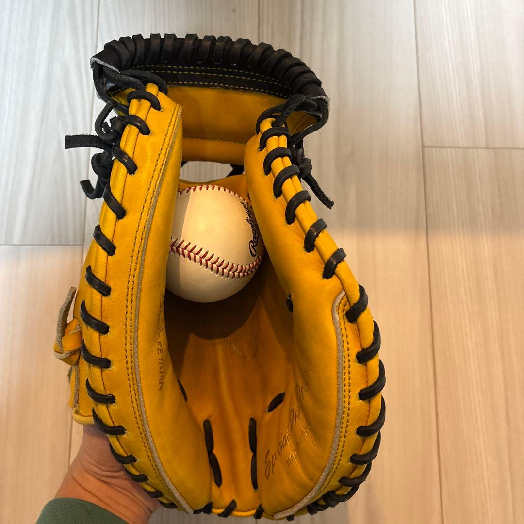 【え】ハタケヤマ　ゴールドオーダー　キャッチャーミット