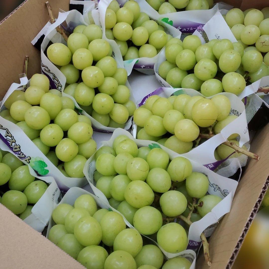 9️⃣ 山梨県産 シャインマスカット １０房入り 箱込み5.3キロ