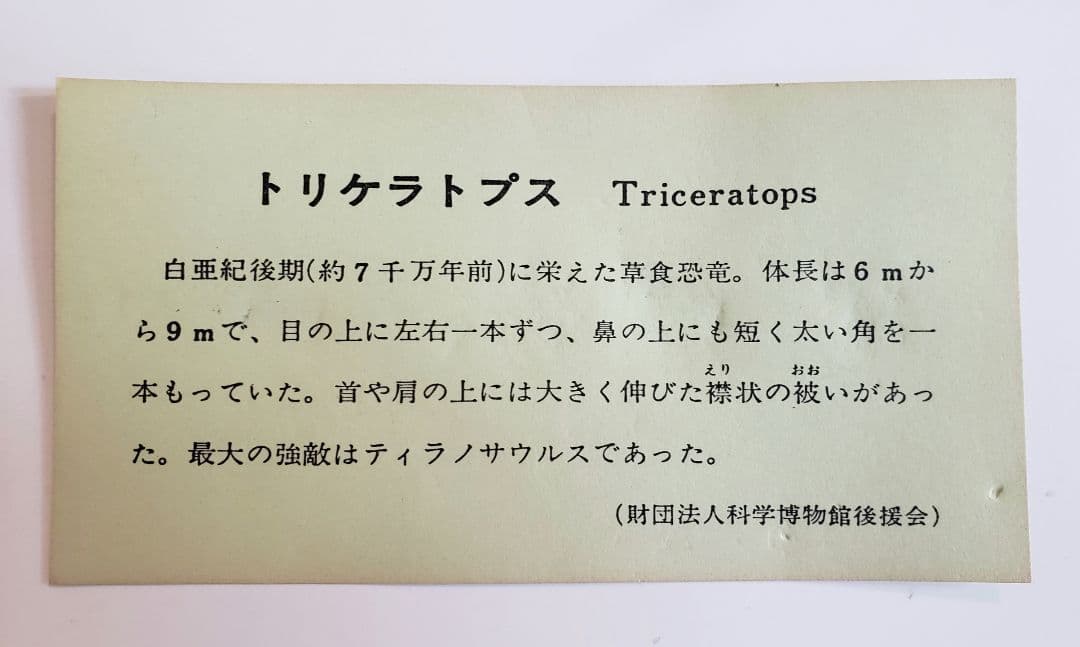トリケラトプス　国立博物館　フィギュア　金属製