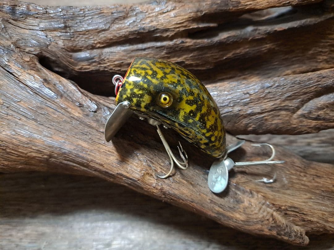 道楽　DOWLUCK　ドウラク　インフルエンザ　フロッグスキン