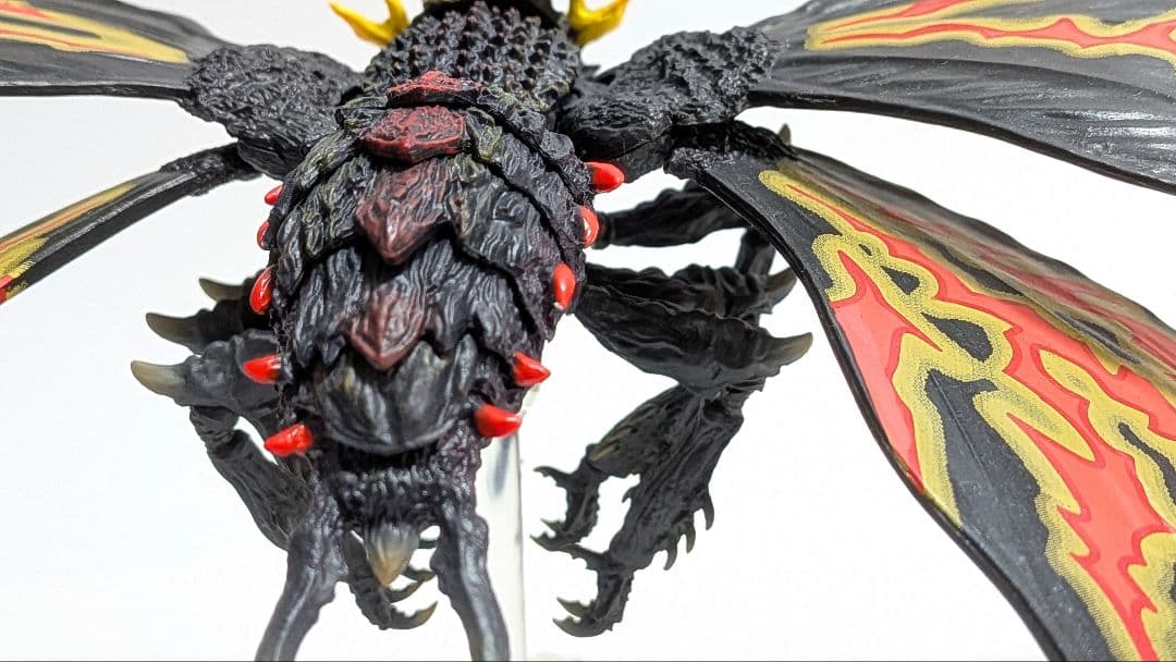 バトラ (成虫) & バトラ (幼虫)モンアツ Special Color