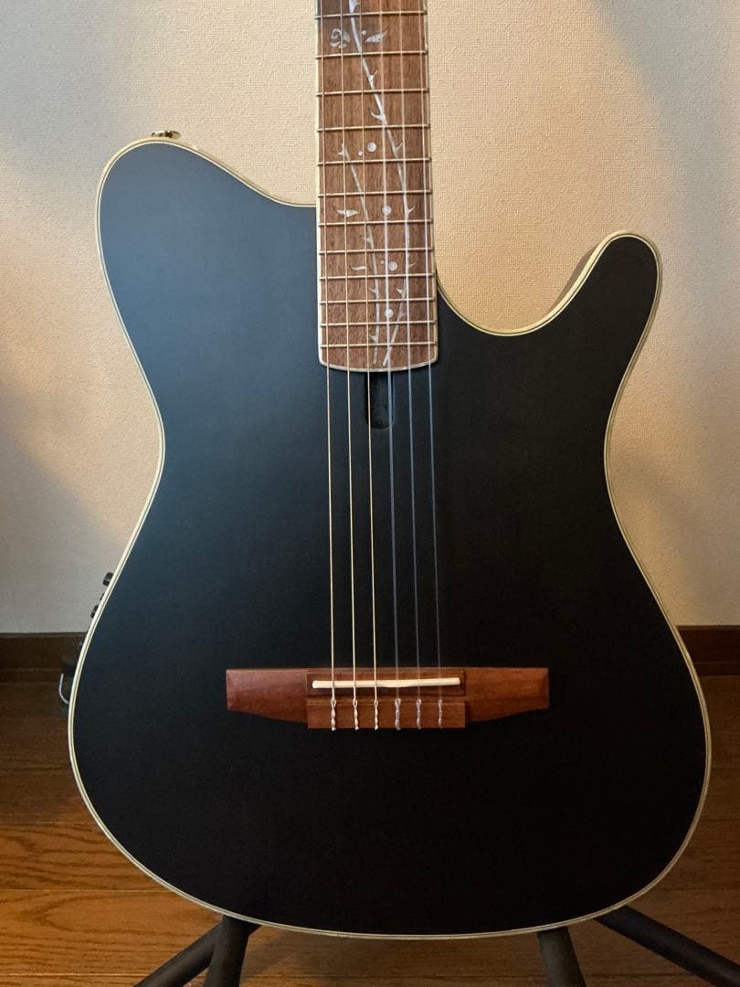 Ibanez TOD10N（Tim Henson シグネチャー / ナイロン）