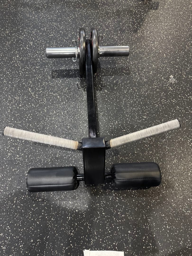 ペンデュラムバイセップスカール