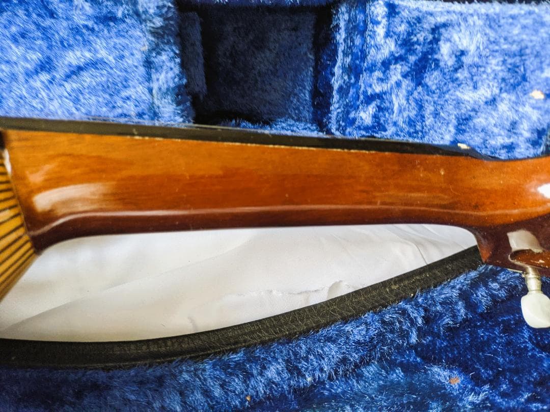 ✨SUZUKI M-30 木製 8弦マンドリン 本体 ＋ 専用ハードケース付き✨