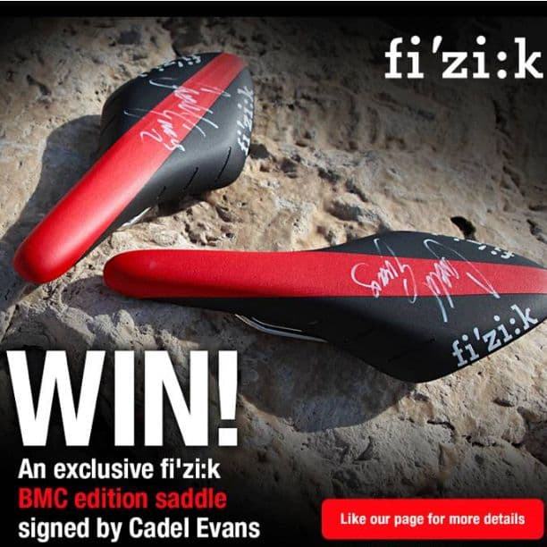 Fizik(フィジーク) ARIONE R3(TEAM EDITION2013)