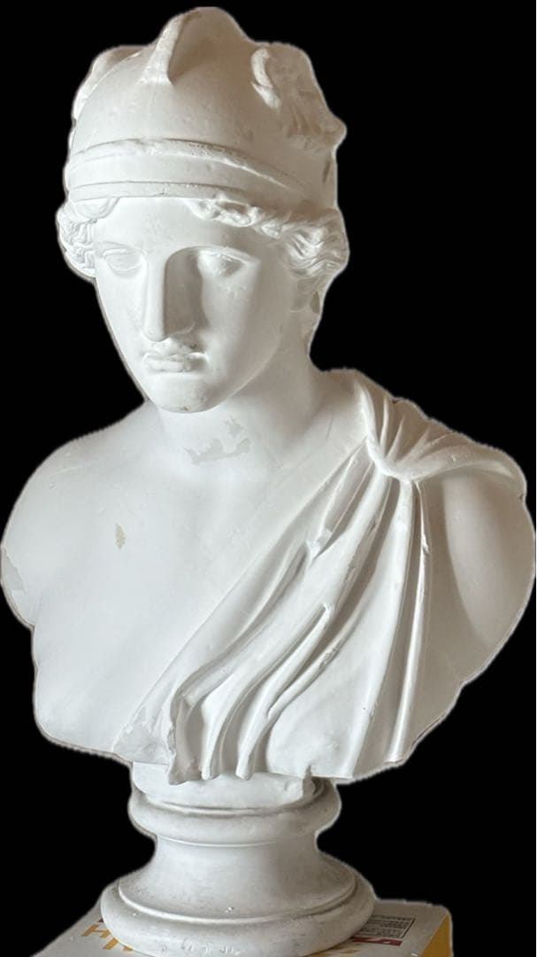 【新品価格88000円】石膏像 アマゾン胸像