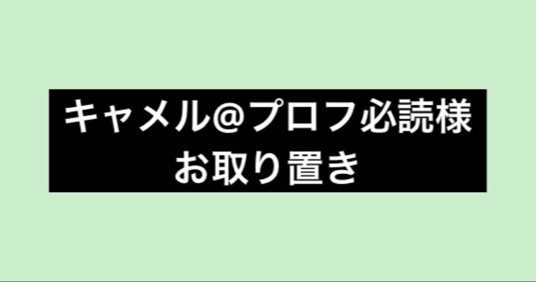 ぷりっつ 缶バッジ 2周年 19個