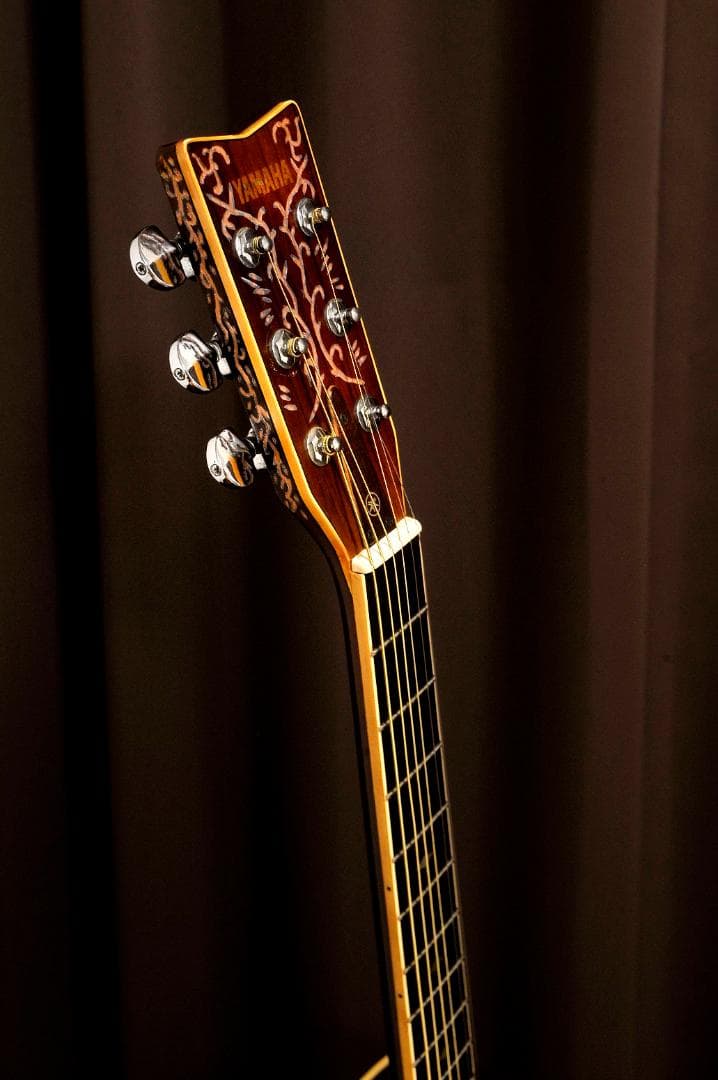 ★YAMAHA FGシリーズの奏でる華やかな場面で演出を高める【彫刻装飾ギター】