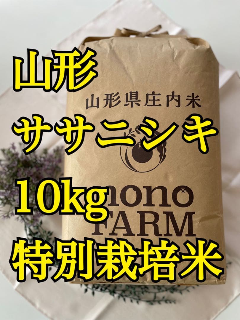ササニシキ　10kg 山形　令和7年　特別栽培米