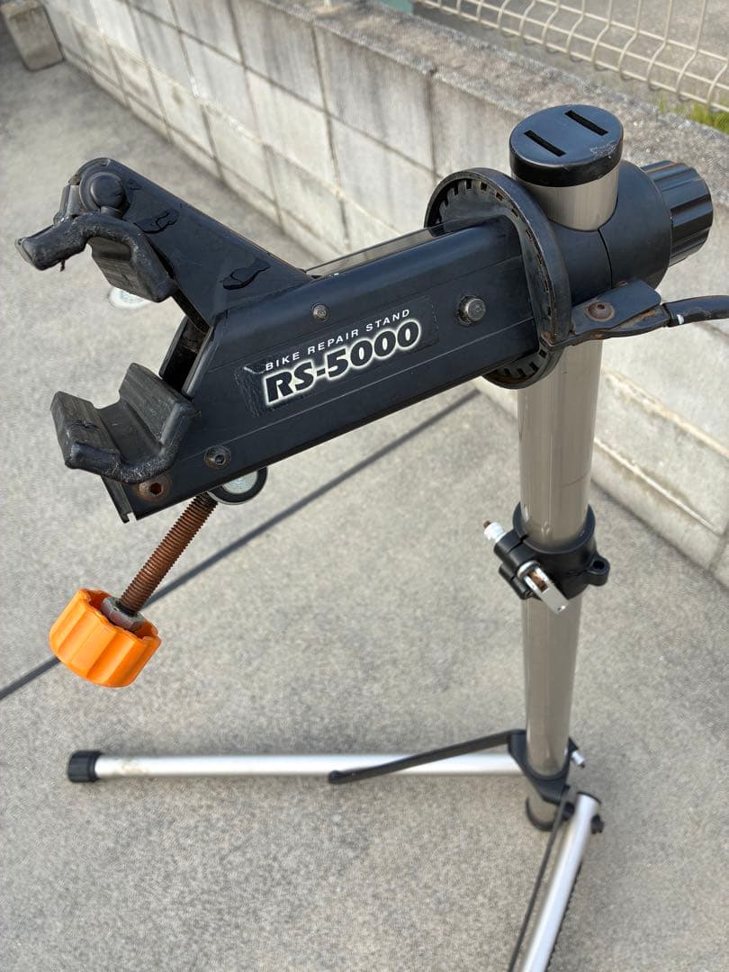 santacruz サンタクルズ chameleon カメレオン Mサイズ