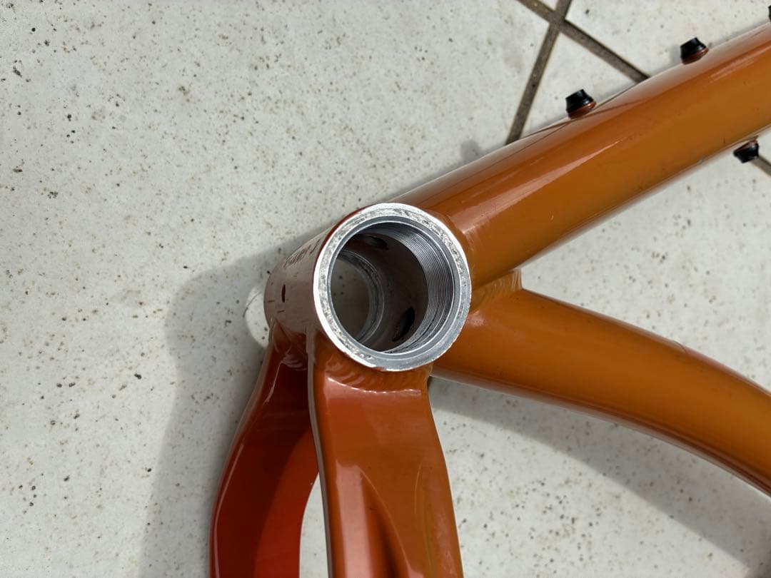 santacruz サンタクルズ chameleon カメレオン Mサイズ