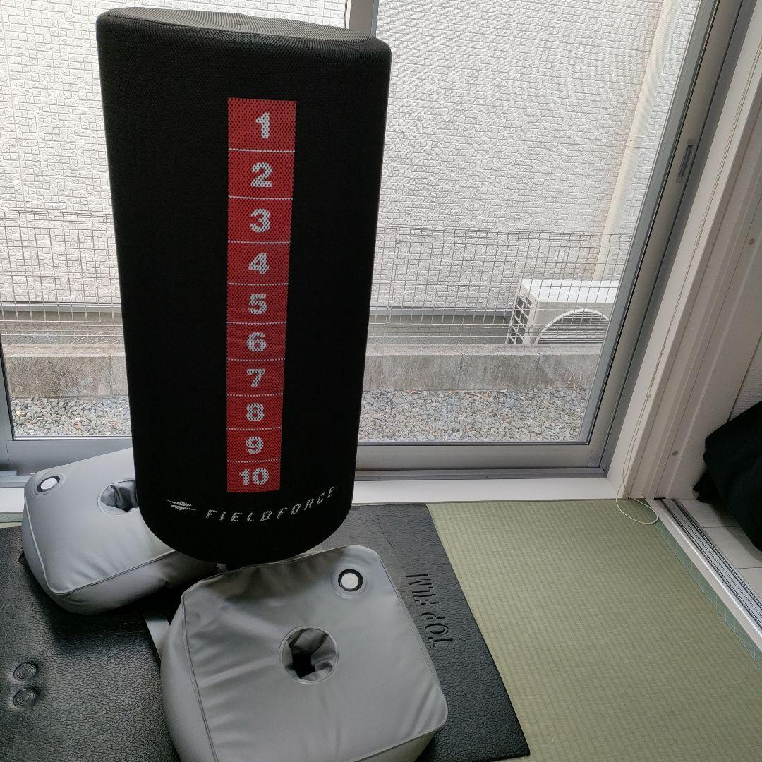 【とらとらさん専用】FIELD FORCE バッティング用　サンドバッグ