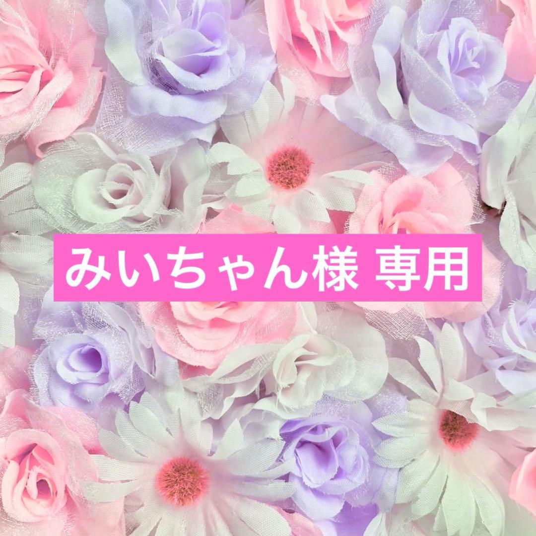 みいちゃんページ