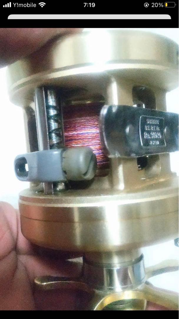 マリンゴールド