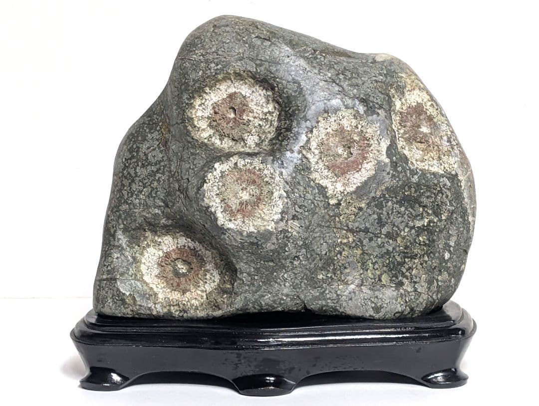 菊花石　天然石　オブジェ　置物