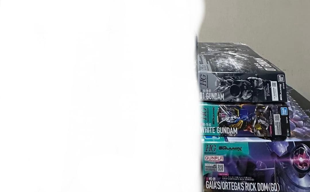 ガンプラ　新品未開封　HG 01ガンダム リックドム(GQ) 白いガンダム