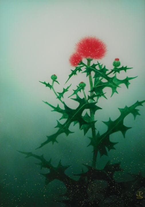 寺田正　 　　薊花 美品