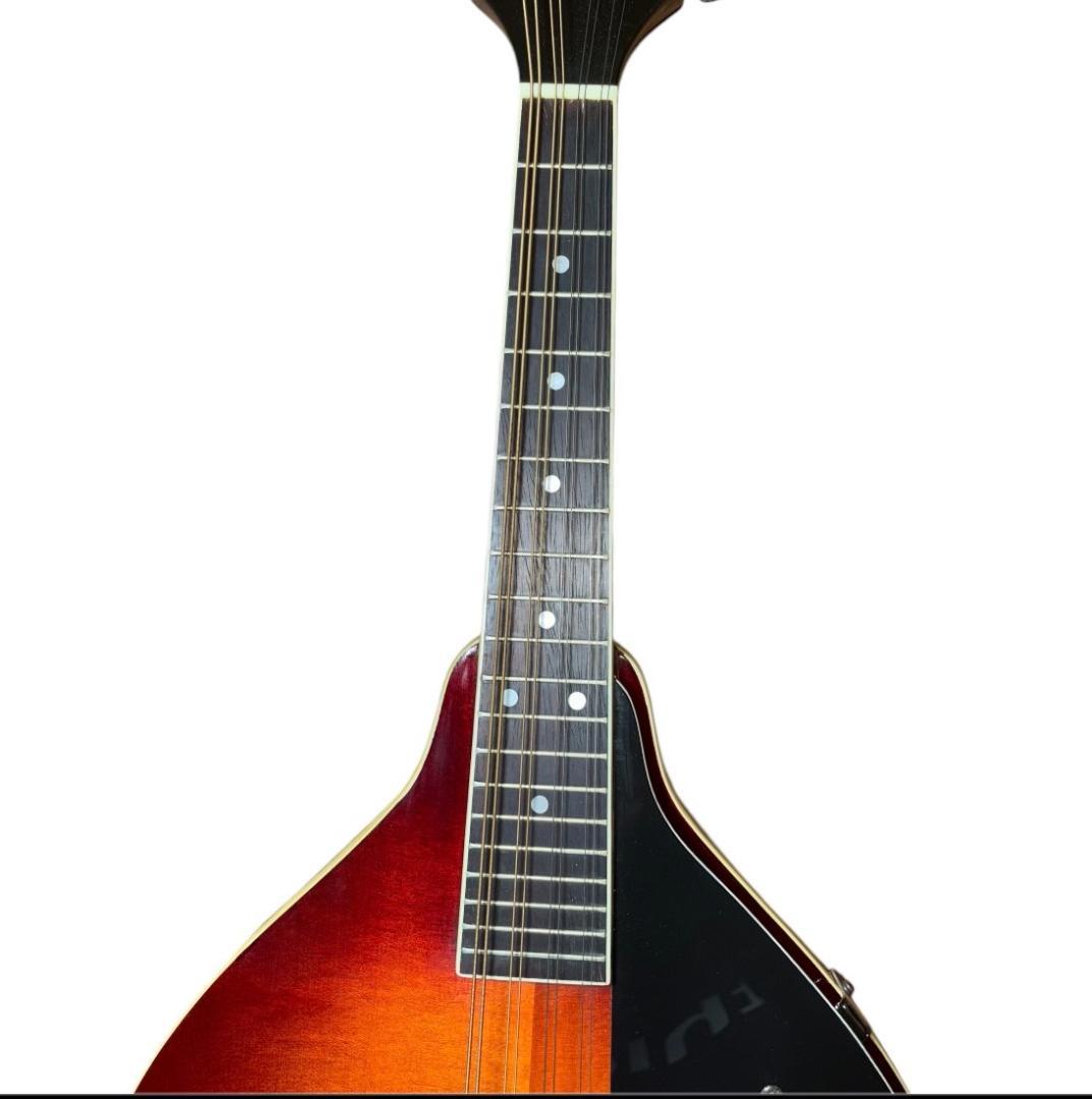 【希少】EPIPHONE エピフォン フラットマンドリン MM-30