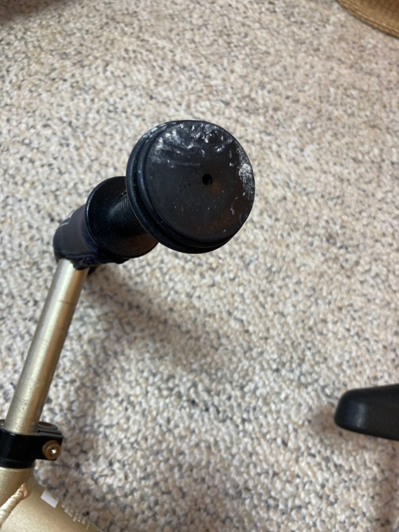 STRIDER バランスバイク ゴールド