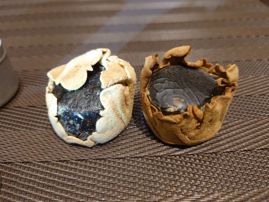 缶 ミラン 松脂 Millant-Deroux アンティークFrance