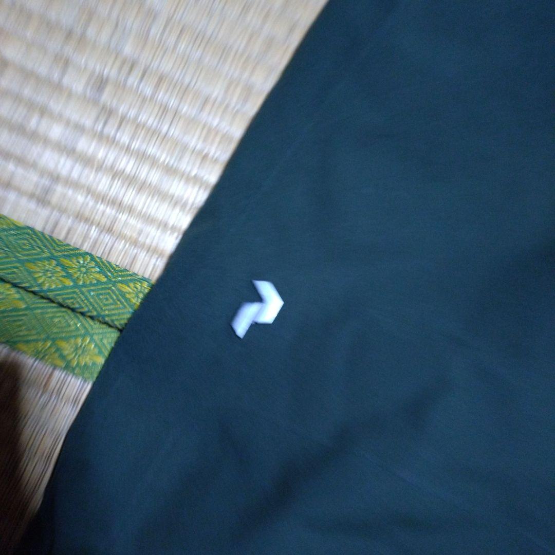 PeakPerformance MAROON2 スキー　パンツ