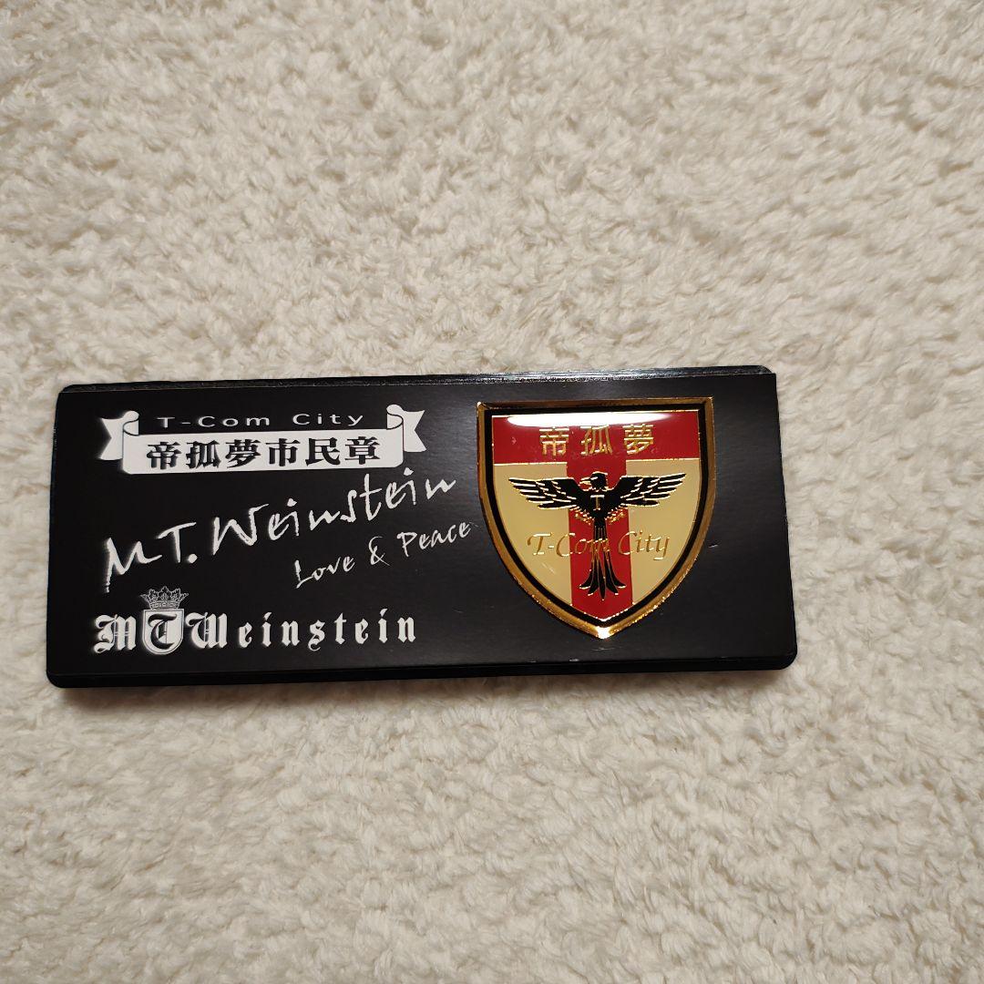 【希少品】アルフィー ピンバッジ ティーコムシティ