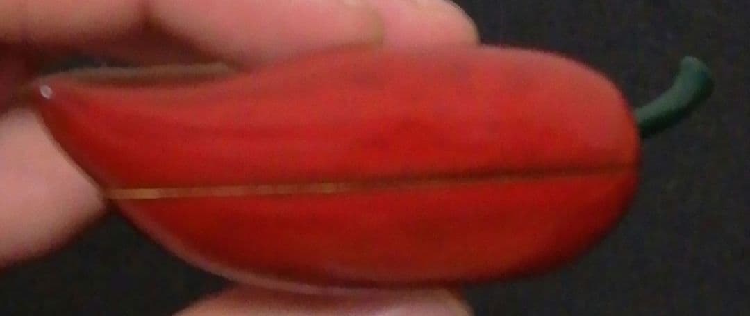 室岡修峰作　乾漆　唐辛子　香合　共箱　茶道具