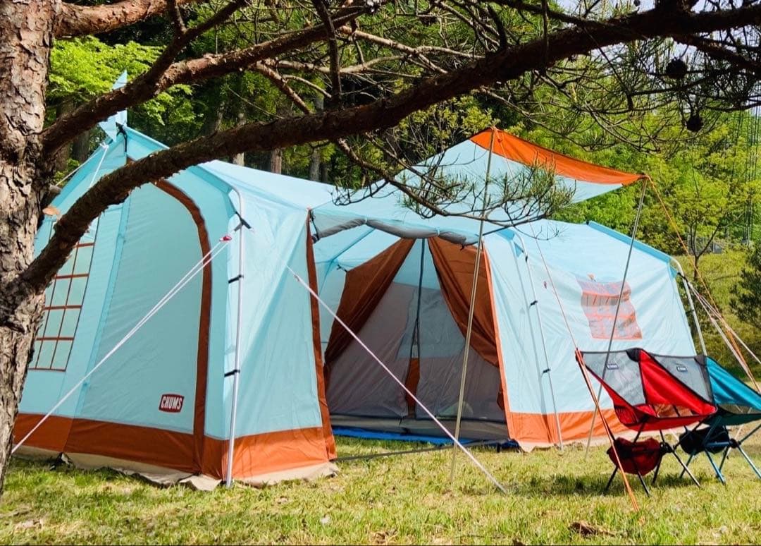 チャムス　ブービーツールームコヤテント　ミントブルー