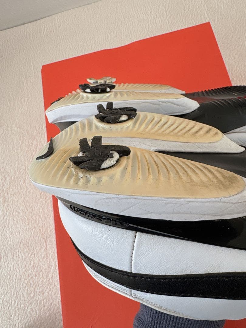 【送料無料】NIKE ゴルフシューズ 30センチ