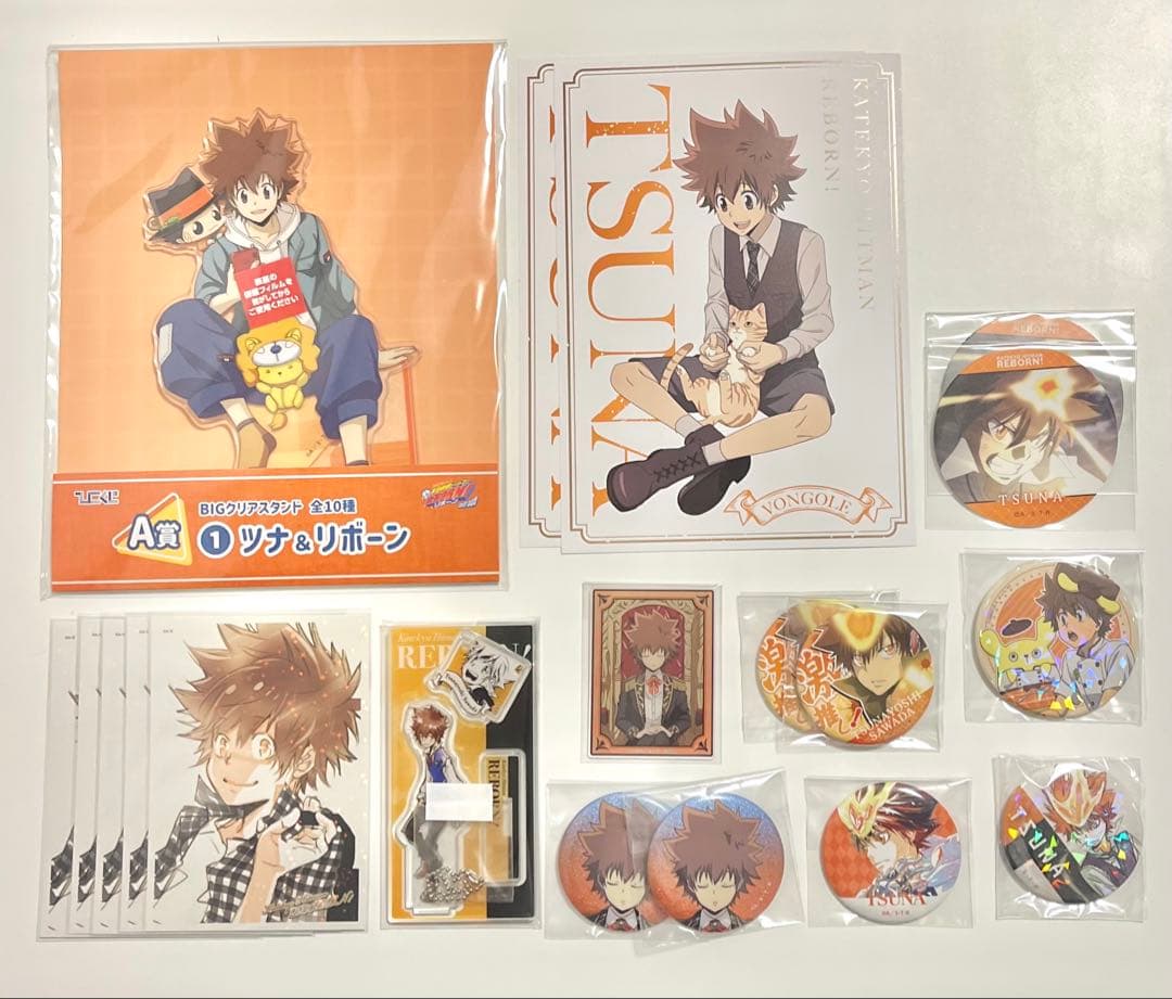 家庭教師ヒットマンREBORN! リボーン 沢田綱吉 まとめ売り