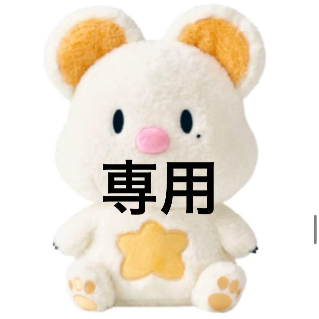 evnne evnniz イブニズ　トレカ　　チョンイ　ポルンイ