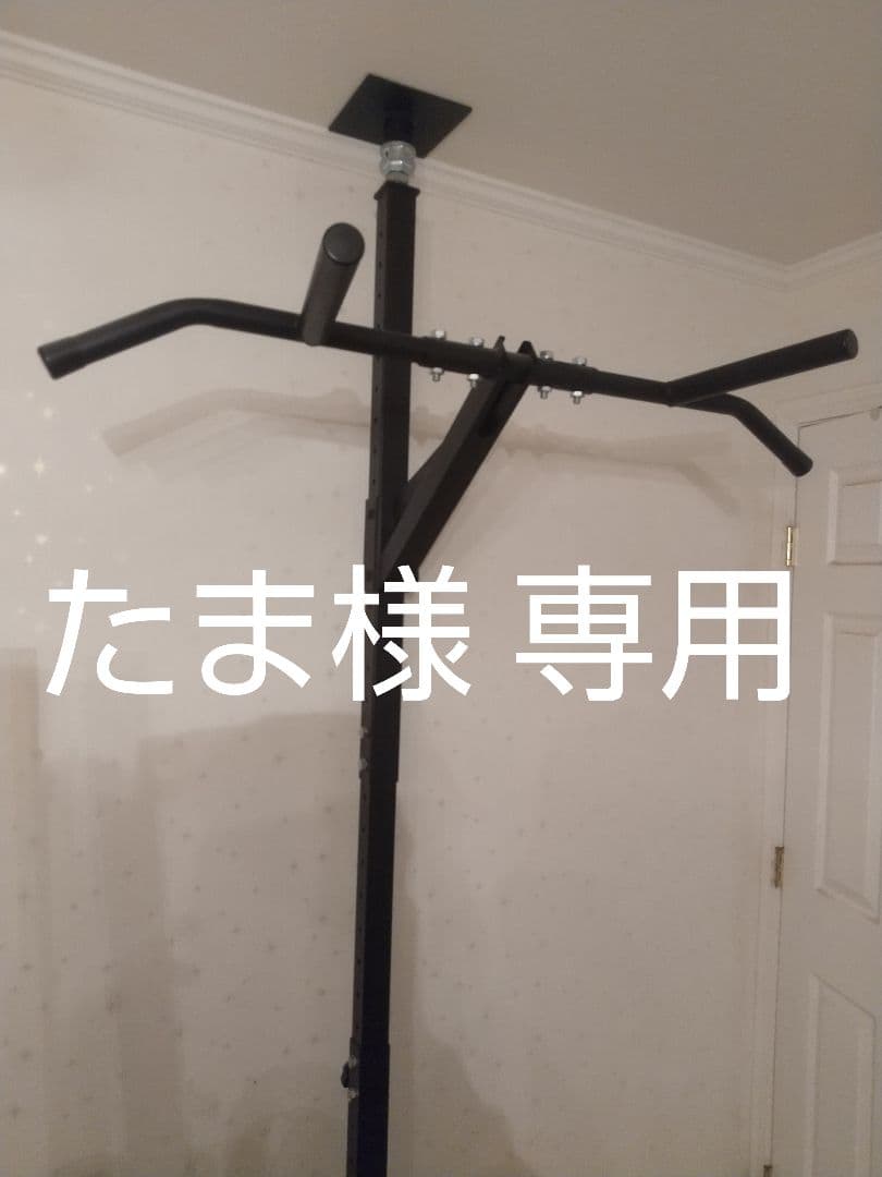 IROTEC パワーラック KENSUI オリンピックシャフト プレート 他色々