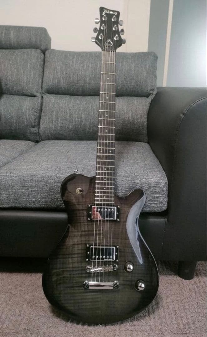 ギター Framus D Panthera Supreme