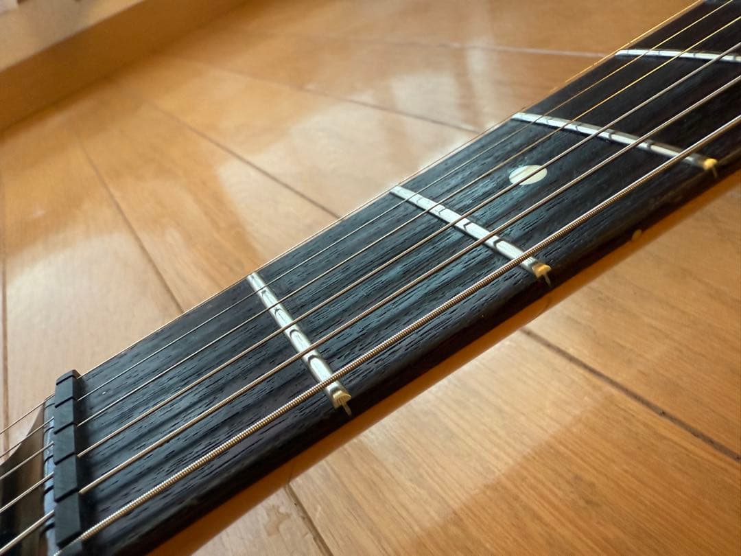 ✨レア美品中古✨Bill Lawrence OBC0 R-55G改 シャケモデル