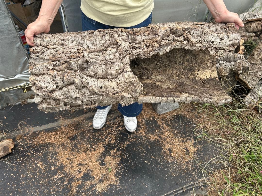 ポルトガル産コルク樹皮ＰＬ-102-10ＬＬ