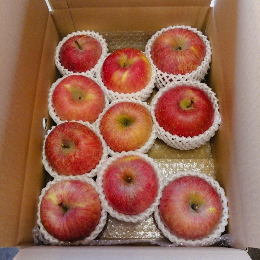 さとみ様　山梨県産　雪中リンゴ　葉とらずサンふじ　20kg