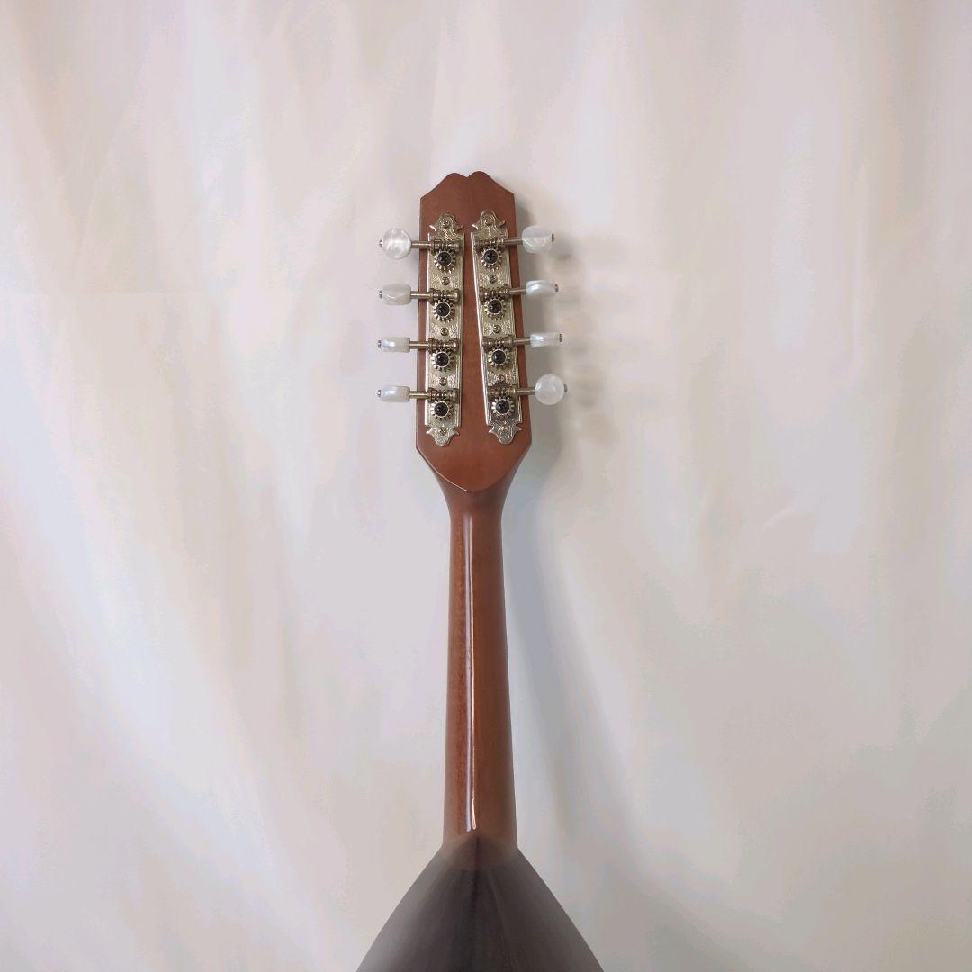 藤丸常夫 Tsuneo Fujimaru No.50 マンドリン