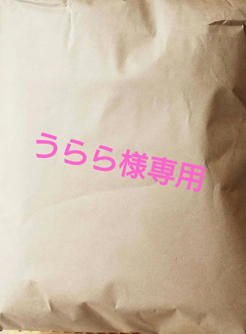 自家製ラーメン20