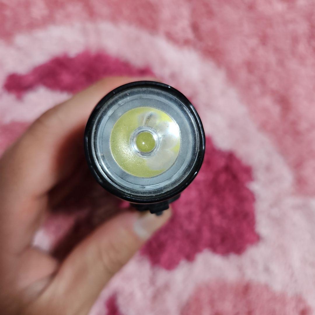 ボルト800 ライト