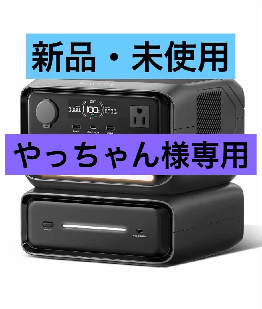 【新品】EcoFlow 3 Max（580）収納ケース付き