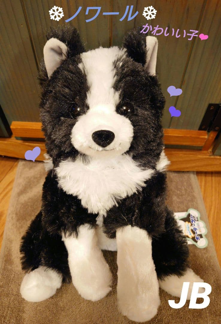 くったりボーダーコリー【新作】おりこうさん  ノワール JB