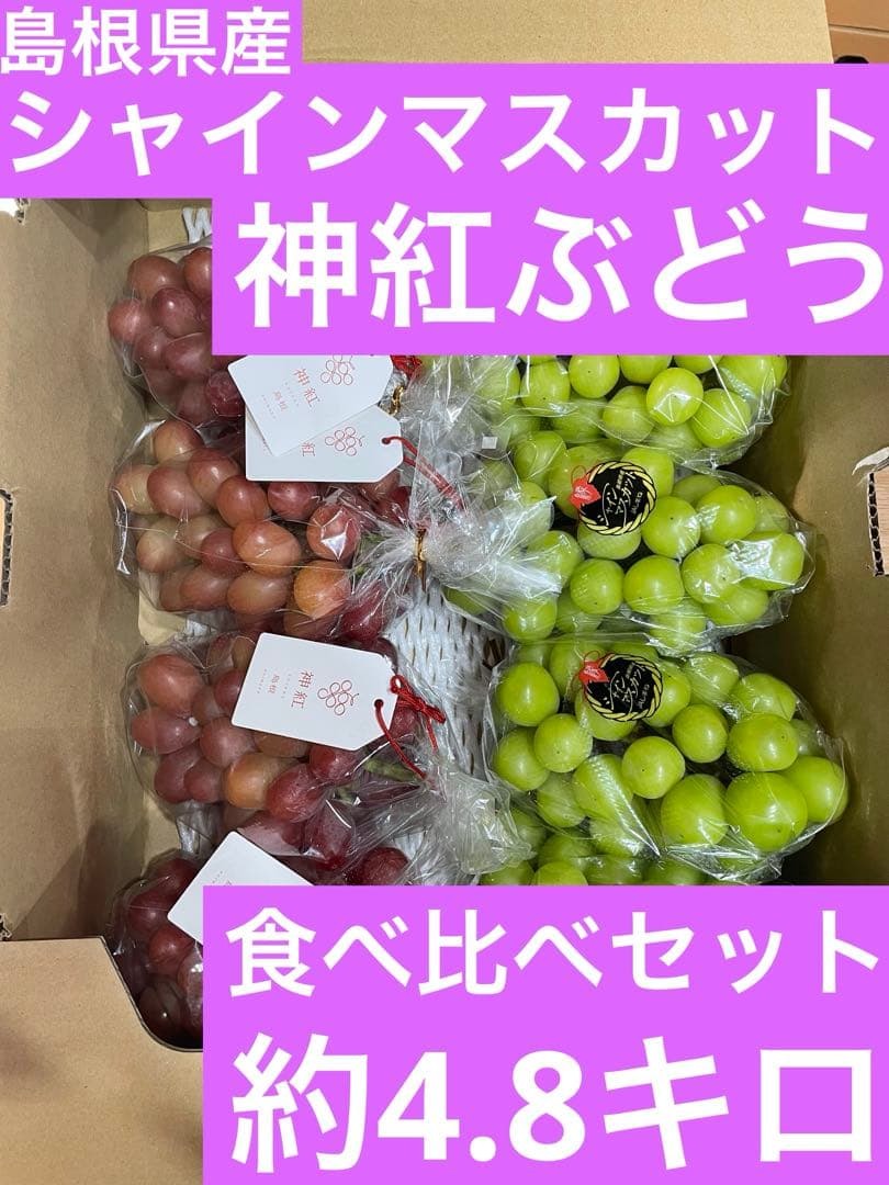 ① 【島根県産】シャインマスカット、神紅ぶどう 食べ比べセット約4.8キロ
