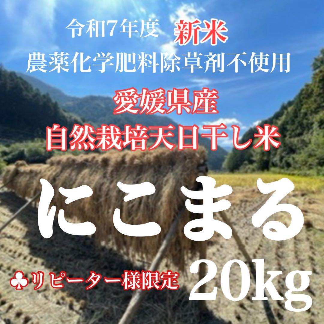 ♠︎リピーター様限定♠︎ 令和7年度新米　愛媛県産にこまる　天日干し米 20kg