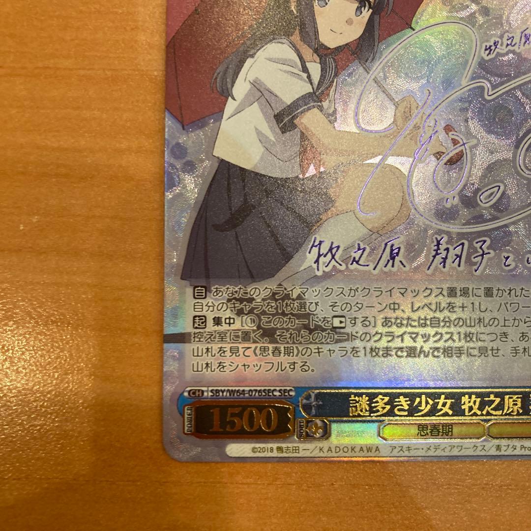 謎多き少女　牧之原 翔子 sec